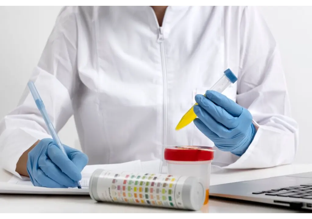 How to Prepare for a 5-Panel Urine Drug Test A Step-by-Step Guide